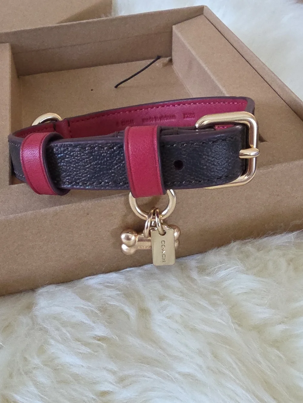 Adorable NWT IOB Coach Brown Signature Small Dog Collar 🤎🍖🖤🐕♥️🐾🎁